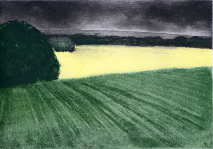 3.SocAA 11 2017 yellow field l colour etchingBLOG