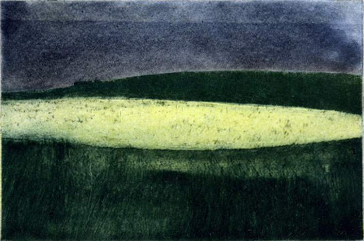 blog SocAA 11 2017 yellow field ll colour etching ed. VE 30 13 x 17 cm £180 72BLOG